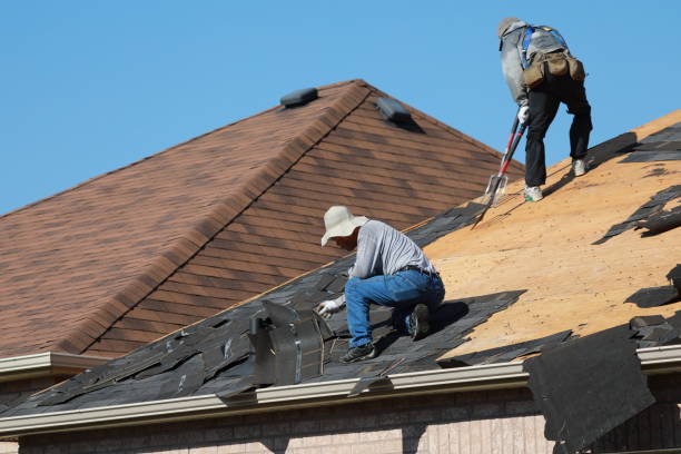 Best Asphalt Shingle Roofing  in Lonsdale, MN